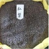 供應杜梨種子、牡丹種子、毛桃種子、牛筋種子、山丁種子
