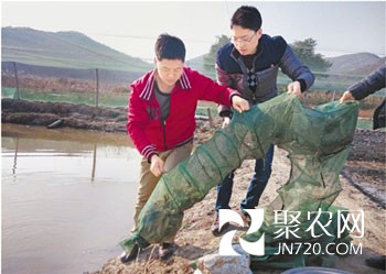 大學生負債40萬 養(yǎng)泥鰍年賺百萬