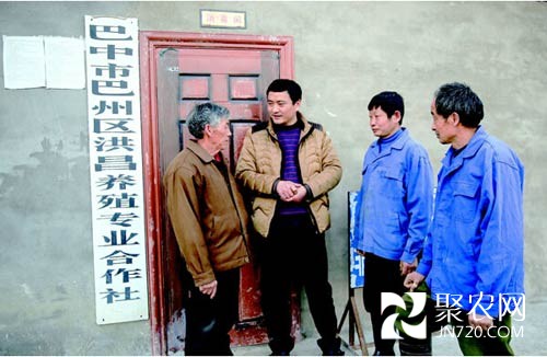帶動鄉(xiāng)鄰致富的“豬老倌”