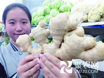 山東青島:漲40%! “姜你軍”卷土重來