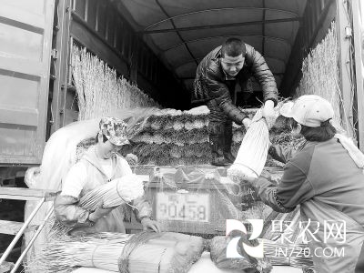 北京新發(fā)地:蔬菜價(jià)格高位運(yùn)行