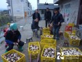 大球蓋菇豐收了，貴州黃平縣移民區村民笑了