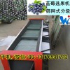 分級效果好的藍(lán)莓分級機(jī)是龍口偉明