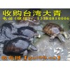 長期收購臺(tái)灣大青