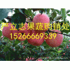 15266669339果農(nóng)出售紅將軍蘋(píng)果