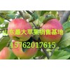 山東蘋(píng)果批發(fā)基地