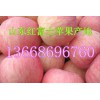 13668696760山東紅富士蘋(píng)果產(chǎn)地直銷(xiāo)價(jià)格