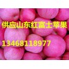 山東紅富士13468118977蘋果批發價格降了
