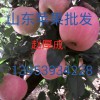 山東庫(kù)存紅富士蘋(píng)果價(jià)格
