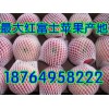 １８７６４９５８２２２紅富士便宜/山東庫存紅富士蘋果批發產地
