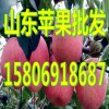 15806918687山東庫(kù)存紅富士蘋(píng)果批發(fā)價(jià)格