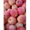 產(chǎn)地報(bào)價(jià)冷庫紅富士一級果價(jià)格行情