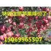 山東紅富士蘋果降價啦?。? onmouseover=