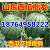 １８７６４９５８２２２油桃甜瓜西瓜產(chǎn)地報(bào)價(jià)/山東蘋果批發(fā)價(jià)格