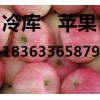 山東嘎拉蘋果價格，。山東美八蘋果產(chǎn)地0.6毛