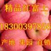 煙臺蘋果產地價格