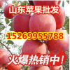 山東紅星蘋(píng)果 紅將軍蘋(píng)果 萬(wàn)畝蘋(píng)果供應(yīng)基地