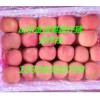 今年紅星蘋(píng)果價(jià)格怎樣