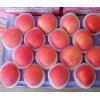15020310061紅富士種植產(chǎn)地急售大量紅富士蘋(píng)果