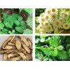 百玉恒生物科技價(jià)格合理的提亮膚色的美白亮膚精華，值得您的信賴(lài) 美白亮膚精華哪里找