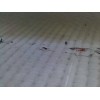 專業(yè)的水下模袋護坡，【薦】創(chuàng)新的專業(yè)水下模袋護坡