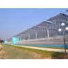 濰坊信譽(yù)好的園藝溫室建造公司是哪家 云南園藝溫室建造