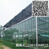 設(shè)計(jì)生產(chǎn)高品質(zhì)陽(yáng)光板溫室玻璃溫室蔬菜大棚農(nóng)業(yè)大棚工程