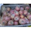 紅富士蘋(píng)果山東紅富士蘋(píng)果批發(fā)價(jià)格