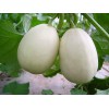搶了啊！！！新鮮又好吃的蔬菜盡在滿義蔬菜農(nóng)場(chǎng)