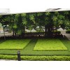 蘭州專業的花壇提供商 甘肅花壇供應商