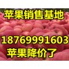 山東優(yōu)質(zhì)紅富士蘋(píng)果批發(fā).價(jià)格便宜.貨源充足