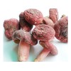 原生態(tài)紅菇功效怎么樣：福建銷(xiāo)量好的紅菇品牌