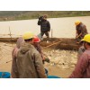 羅非魚價格——要買優(yōu)惠的瘦身羅非魚，大興黑棕鵝是不二選擇