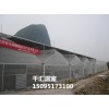 建薄膜溫室大棚要多少錢 薄膜溫室大棚建設(shè)