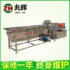 渦旋式洗菜機廠家，廣東價格適中的兆輝新款渦流洗菜機供應