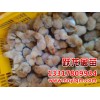 南寧雞苗批發，市場上優質的廣西雞苗在哪里可以找到