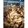 13371261682山東生姜價格產(chǎn)地直銷貨源充足質(zhì)優(yōu)價廉