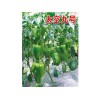 太空九號(hào)甜椒種子采購(gòu) 太空九號(hào)甜椒種子認(rèn)準(zhǔn)圣日蔬菜良