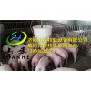 濟(jì)南品牌好的養(yǎng)豬料線批售|優(yōu)質(zhì)的養(yǎng)豬設(shè)備