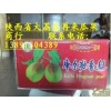陜西冷庫紅香酥梨基地價格，冷庫庫爾勒香梨產地批發(fā)
