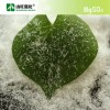 針狀硫酸鎂 工業(yè)級(jí)硫酸鎂