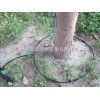 杜仲灌溉16mmPE管 河南焦作孟州市果樹滴灌 果樹水肥一體化