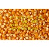 現(xiàn)金求購：大豆、玉米、大麥、棉（豆、菜）粕