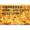 大量收購(gòu)玉米大豆高粱蕎麥青餅
