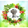 番茄豐產增收，榮泰納米植物生長燈“靠譜”！