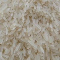 大量求購國產(chǎn)大米、碎米、緬甸大米、越南大米
