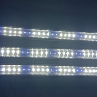 研發(fā)產(chǎn)銷:LED食用菌生長燈、適用于蘑菇木耳銀耳等菌類生長